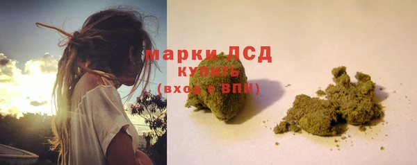стаф Беломорск