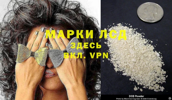 стаф Беломорск